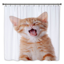 Portrait Of A Red Yawning Kitten. Bath Decor 52156178