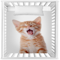 Portrait Of A Red Yawning Kitten. Nursery Decor 52156178