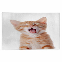 Portrait Of A Red Yawning Kitten. Rugs 52156178