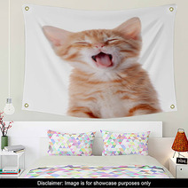 Portrait Of A Red Yawning Kitten. Wall Art 52156178