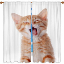 Portrait Of A Red Yawning Kitten. Window Curtains 52156178