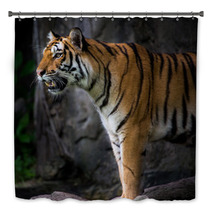Portrait Of A Royal Bengal Tiger Bath Decor 66856466