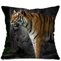 Portrait Of A Royal Bengal Tiger Pillows 66856466