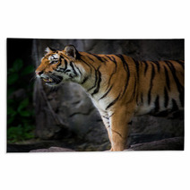 Portrait Of A Royal Bengal Tiger Rugs 66856466