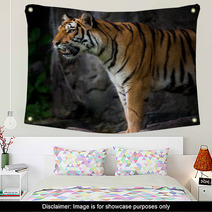 Portrait Of A Royal Bengal Tiger Wall Art 66856466