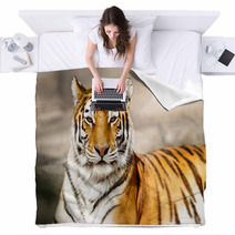 Portrait Of Amur Tiger Blankets 65406520