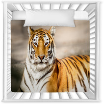 Portrait Of Amur Tiger Nursery Decor 65406520