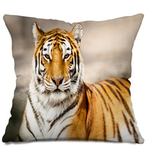 Portrait Of Amur Tiger Pillows 65406520