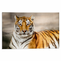 Portrait Of Amur Tiger Rugs 65406520