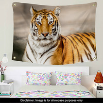 Portrait Of Amur Tiger Wall Art 65406520