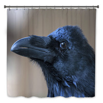 Portrait Of Black Crow Standing - Common Raven Bath Decor 91398483
