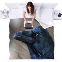 Portrait Of Black Crow Standing - Common Raven Blankets 91398483