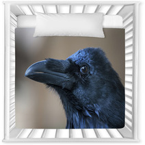 Portrait Of Black Crow Standing - Common Raven Nursery Decor 91398483