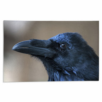 Portrait Of Black Crow Standing - Common Raven Rugs 91398483