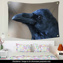 Portrait Of Black Crow Standing - Common Raven Wall Art 91398483