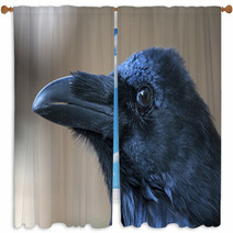Portrait Of Black Crow Standing - Common Raven Window Curtains 91398483