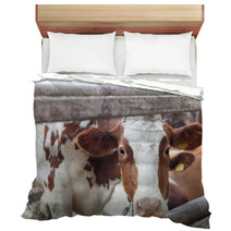 Portrait Of Cow On A Farm Bedding 57622683
