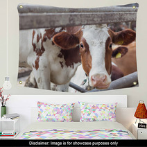 Portrait Of Cow On A Farm Wall Art 57622683