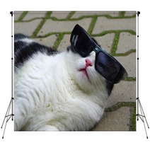 Portrait Of Funny Cat With Sunglasses Backdrops 65585273