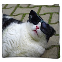 Portrait Of Funny Cat With Sunglasses Blankets 65585273