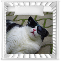 Portrait Of Funny Cat With Sunglasses Nursery Decor 65585273