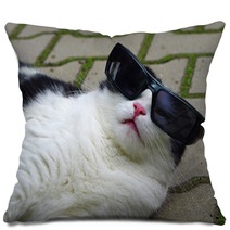 Portrait Of Funny Cat With Sunglasses Pillows 65585273