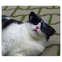 Portrait Of Funny Cat With Sunglasses Rugs 65585273