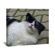 Portrait Of Funny Cat With Sunglasses Wall Art 65585273