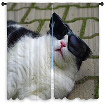 Portrait Of Funny Cat With Sunglasses Window Curtains 65585273
