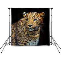 Portrait Of Leopard In Its Natural Habitat Backdrops 61537121