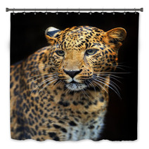 Portrait Of Leopard In Its Natural Habitat Bath Decor 61537121
