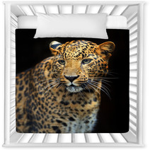 Portrait Of Leopard In Its Natural Habitat Nursery Decor 61537121