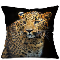 Portrait Of Leopard In Its Natural Habitat Pillows 61537121