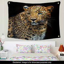Portrait Of Leopard In Its Natural Habitat Wall Art 61537121