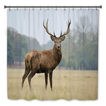 Portrait Of Majestic Red Deer Stag In Autumn Fall Bath Decor 36908525