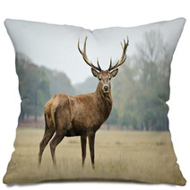 Portrait Of Majestic Red Deer Stag In Autumn Fall Pillows 36908525