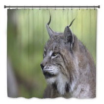 Portrait Of Male Eurasian Lynx  Bath Decor 83703255