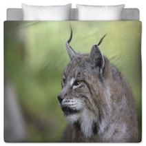 Portrait Of Male Eurasian Lynx  Bedding 83703255