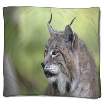 Portrait Of Male Eurasian Lynx  Blankets 83703255