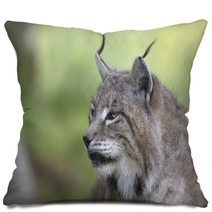 Portrait Of Male Eurasian Lynx  Pillows 83703255