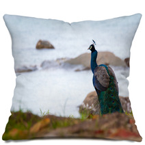Portrait Of Peacock Pillows 65700999
