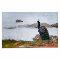Portrait Of Peacock Rugs 65700999