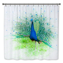 Portrait Of Peacock With Spread Feathers Bath Decor 104495715