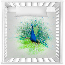 Portrait Of Peacock With Spread Feathers Nursery Decor 104495715