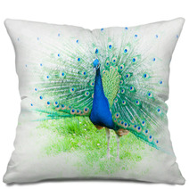 Portrait Of Peacock With Spread Feathers Pillows 104495715