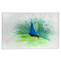 Portrait Of Peacock With Spread Feathers Rugs 104495715