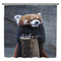 Portrait Of Red Panda, Firefox Or Lesser Panda (Ailurus Fulgens) Bath Decor 87976212