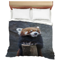 Portrait Of Red Panda, Firefox Or Lesser Panda (Ailurus Fulgens) Bedding 87976212