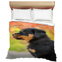 Portrait Of Rottweiler Puppy Bedding 64897768