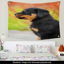 Portrait Of Rottweiler Puppy Wall Art 64897768